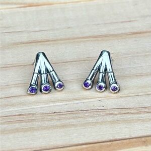 Amethyst Earrings
